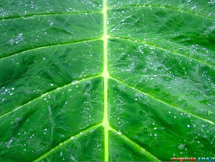 куда поехать отдыхать