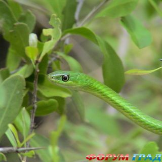 куда поехать отдыхать