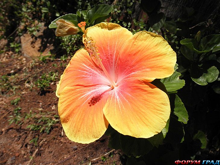 куда поехать отдыхать