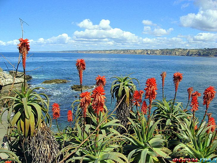 куда поехать отдыхать