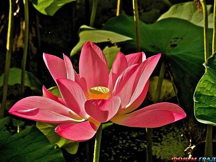 куда поехать отдыхать