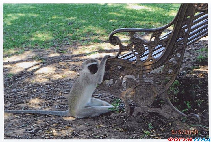 куда поехать отдыхать