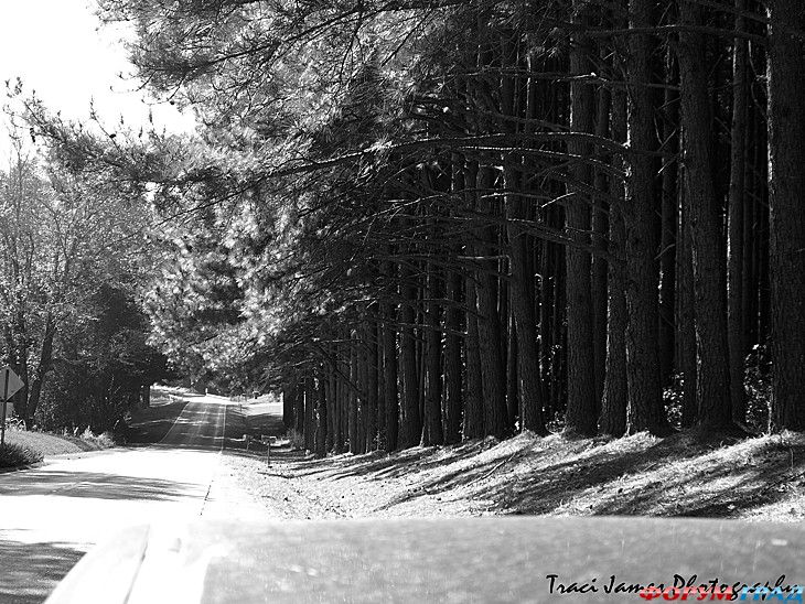 куда поехать отдыхать