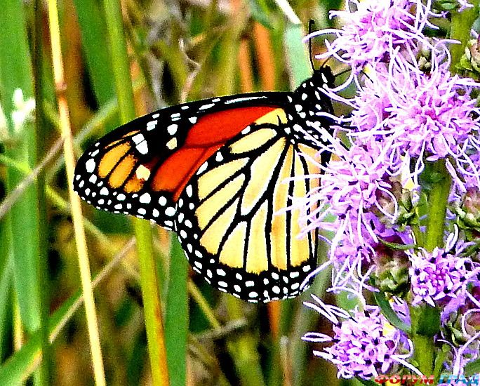 куда поехать отдыхать