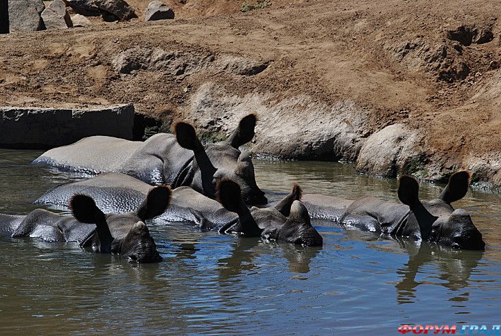 куда поехать отдыхать