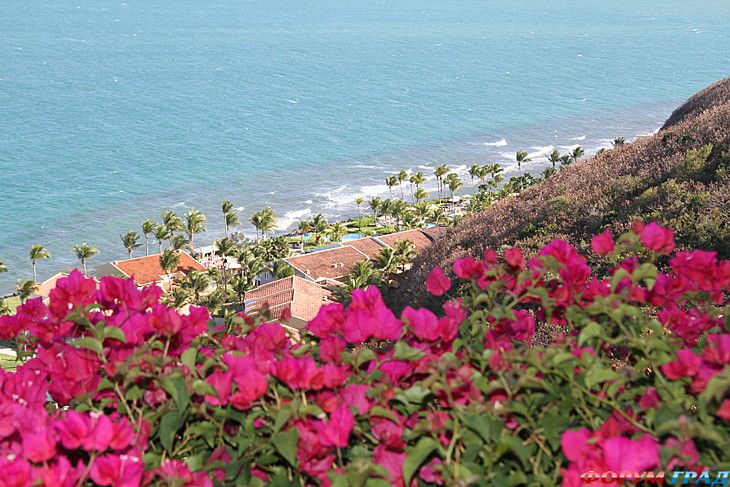 куда поехать отдыхать