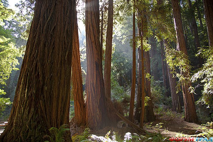 куда поехать отдыхать