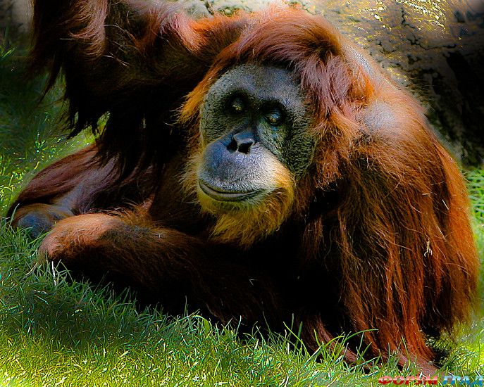 куда поехать отдыхать