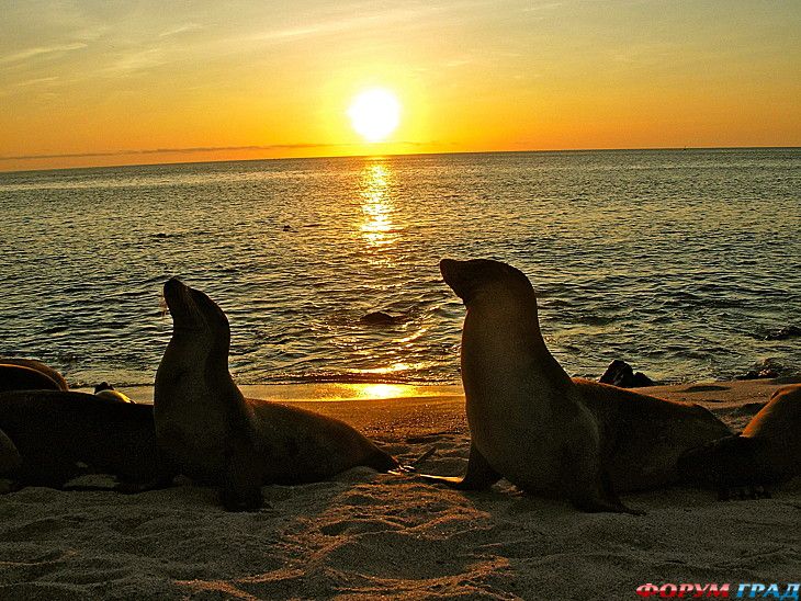 куда поехать отдыхать