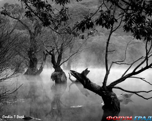 куда поехать отдыхать