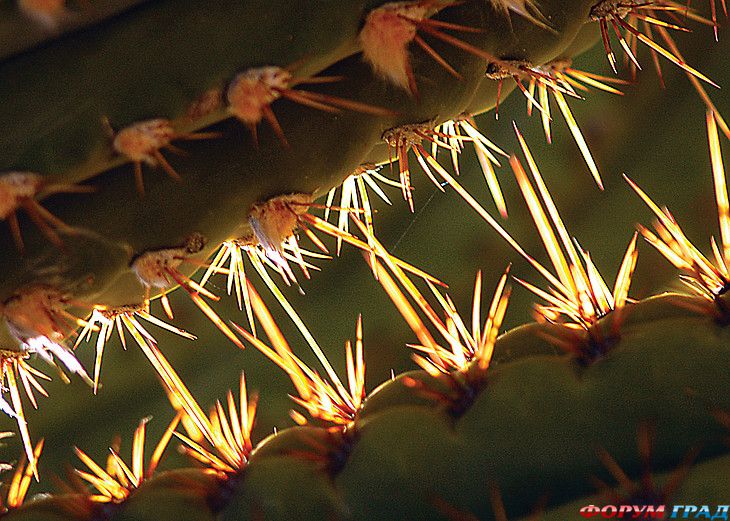 куда поехать отдыхать