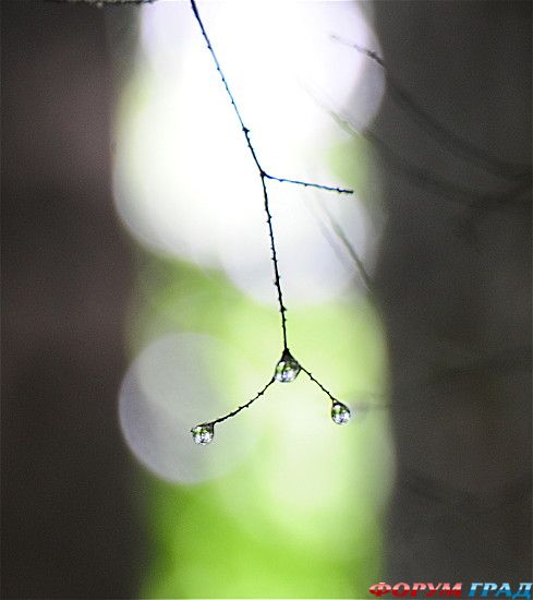 куда поехать отдыхать