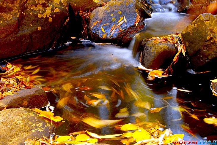 куда поехать отдыхать