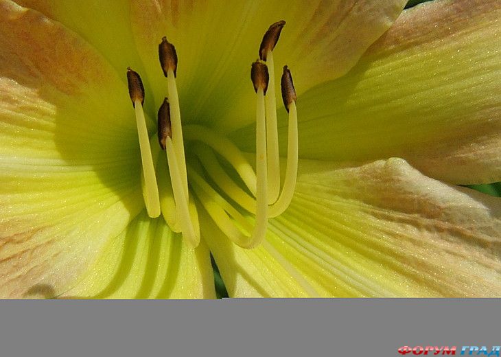 куда поехать отдыхать