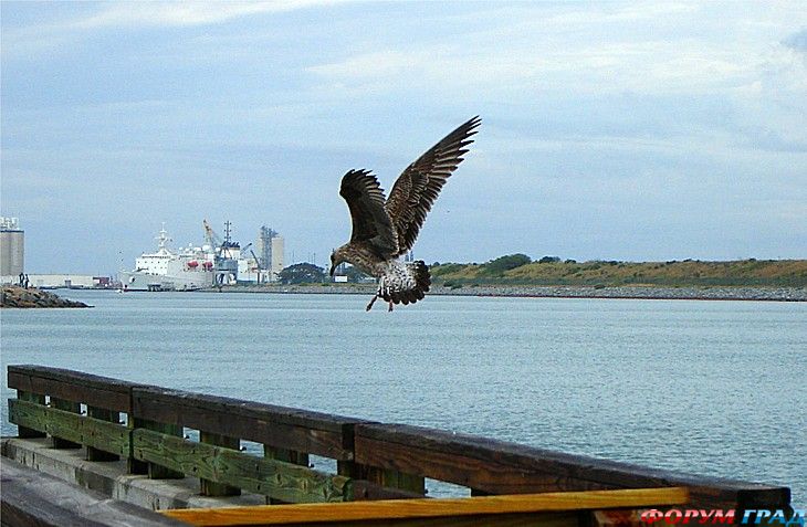 куда поехать отдыхать