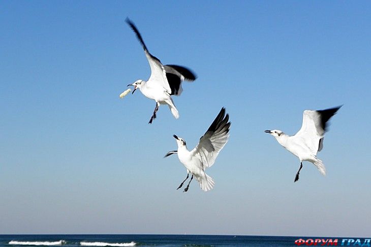 куда поехать отдыхать