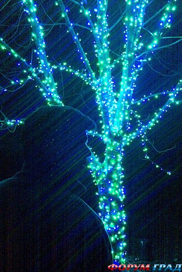 куда поехать отдыхать