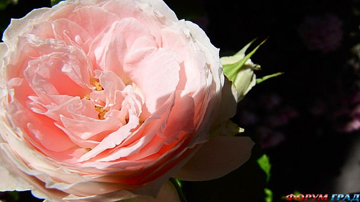 куда поехать отдыхать