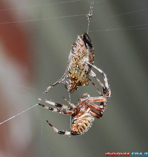 куда поехать отдыхать