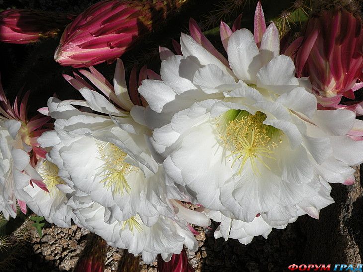 куда поехать отдыхать