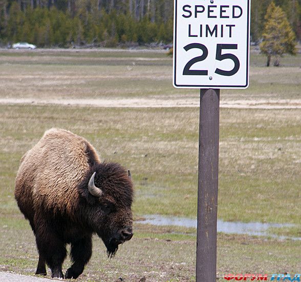 куда поехать отдыхать