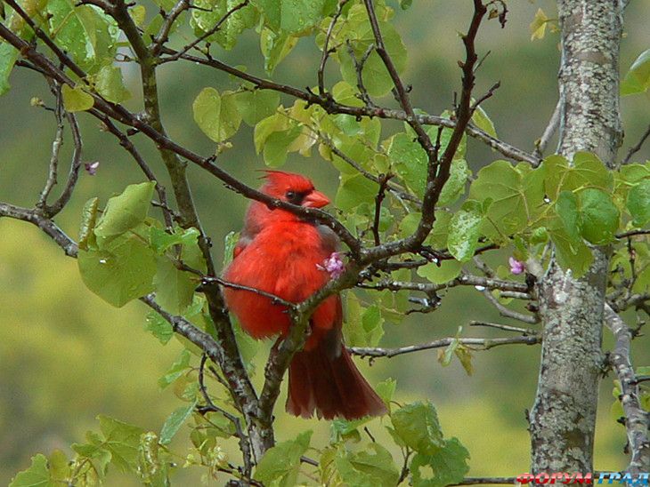 куда поехать отдыхать