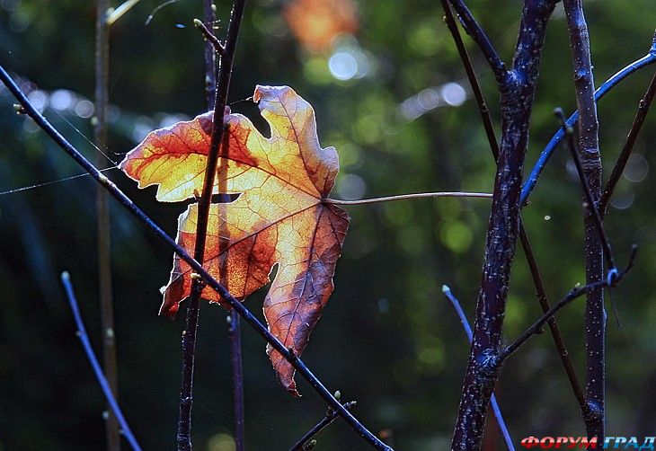 куда поехать отдыхать