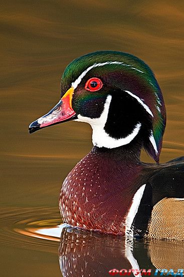 куда поехать отдыхать