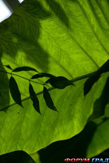 куда поехать отдыхать