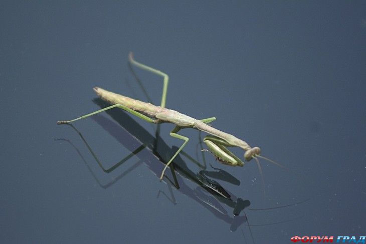 куда поехать отдыхать