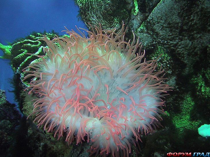 куда поехать отдыхать