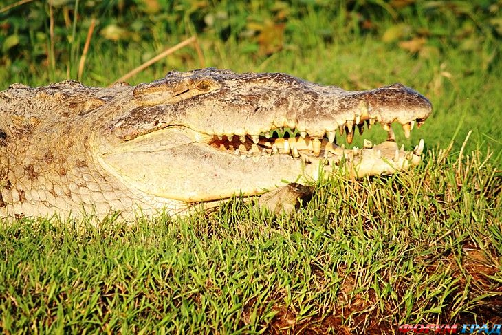 куда поехать отдыхать