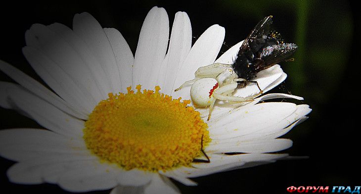 куда поехать отдыхать
