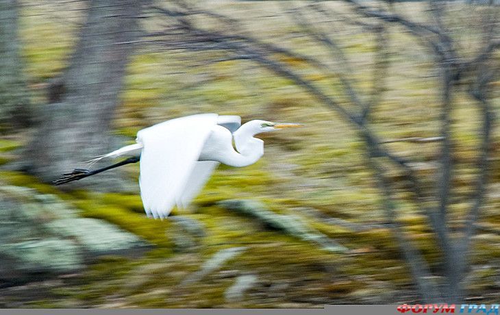 куда поехать отдыхать