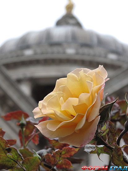 куда поехать отдыхать