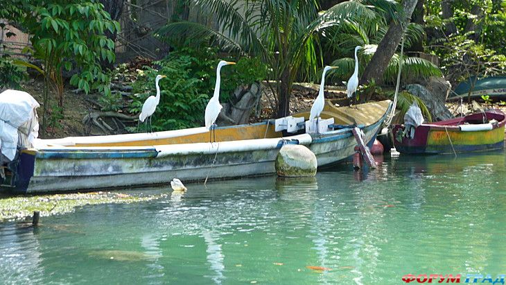 куда поехать отдыхать