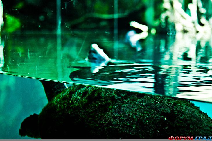 куда поехать отдыхать