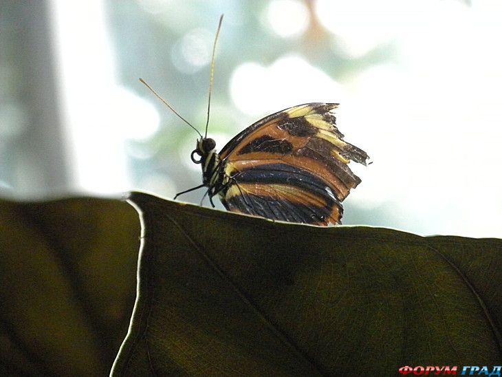 куда поехать отдыхать