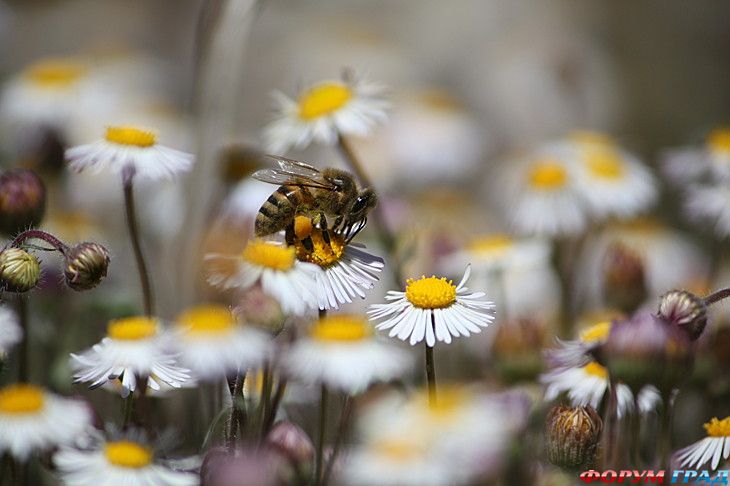 куда поехать отдыхать