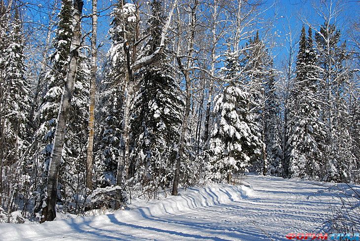куда поехать отдыхать