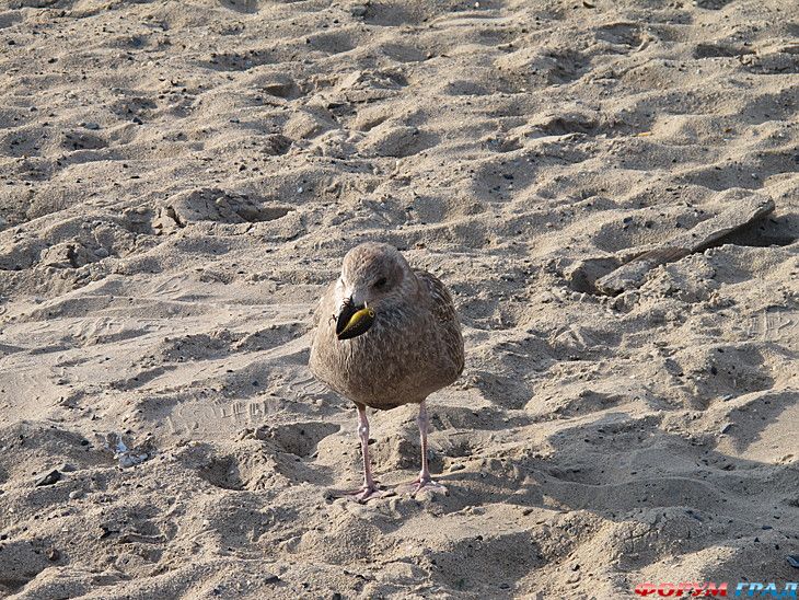 куда поехать отдыхать