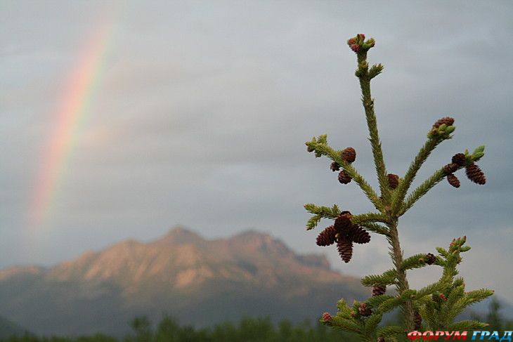 куда поехать отдыхать