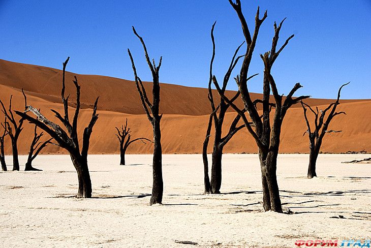 куда поехать отдыхать