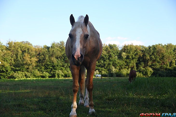 куда поехать отдыхать