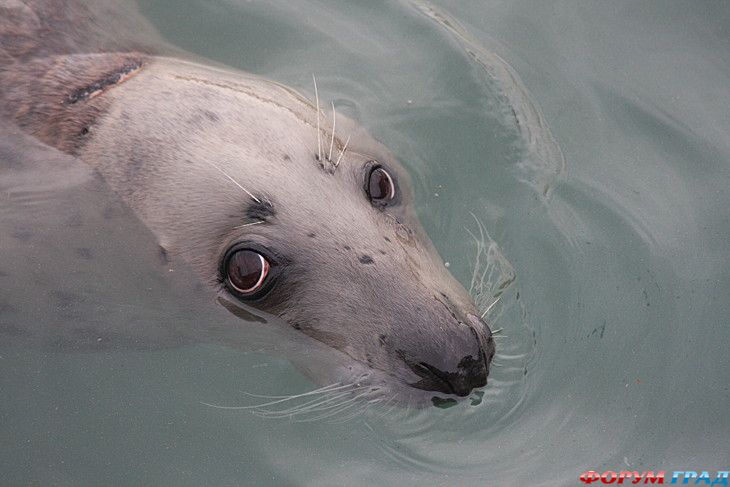 куда поехать отдыхать