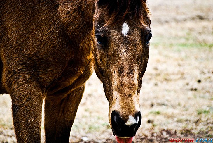 куда поехать отдыхать