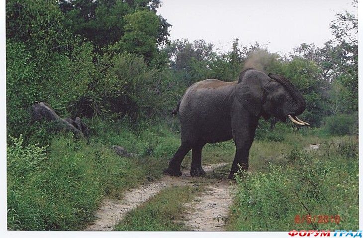 куда поехать отдыхать