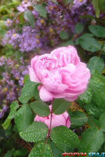 куда поехать отдыхать