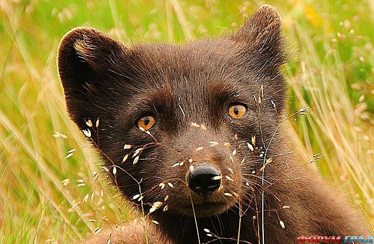 куда поехать отдыхать