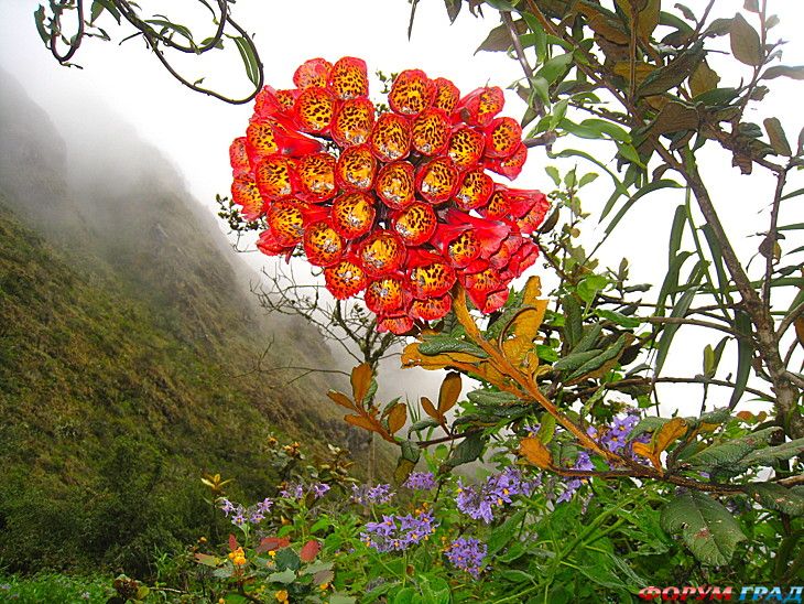 куда поехать отдыхать